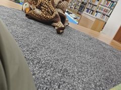 -上海交通大学闵行校区-包玉刚图书馆