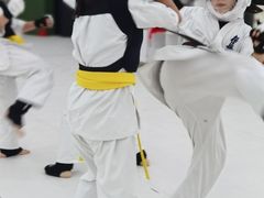 -极真空手道修远道场