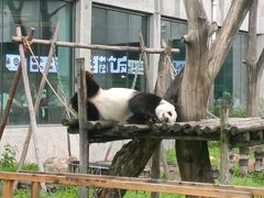 -沈阳森林动物园