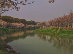 -上海海湾国家森林公园