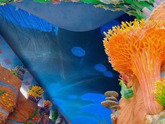 -珠海长隆海洋王国