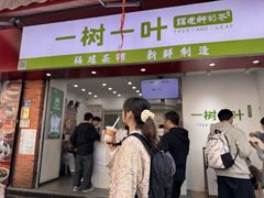 -一树一叶·福建茶档(石鼓路店)