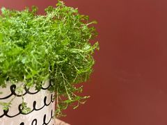 -二酉书店TOYOU BOOKS