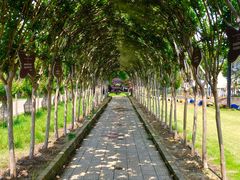 -武汉紫薇都市田园