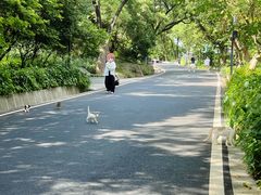 -广州市白云山风景名胜区