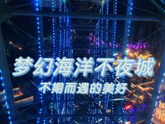 -三亚海昌梦幻海洋不夜城