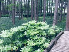 -月湖风景区