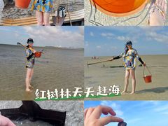 -红树林天天赶海