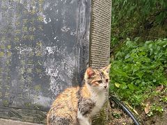 -终南山南五台景区