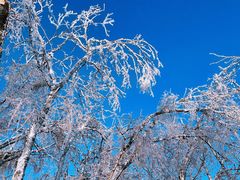 -中旅松花湖滑雪场