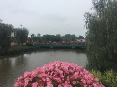 -荷兰花海