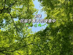 -留园