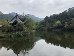 -黄陂区野村谷景区