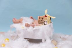 -DeerFriend童趣主题上门拍·到家·外拍摄影机构 (国贸店)