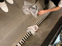 -港澳德兴火锅海鲜酒家(殷皇子店)