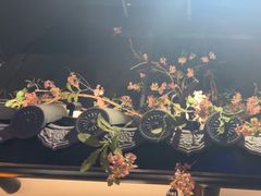 -绿茶餐厅(燕郊永旺店)