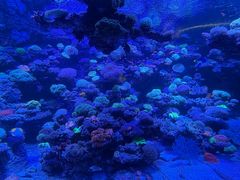 -太平洋海底世界