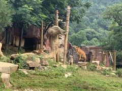 -无锡动物园·太湖欢乐园