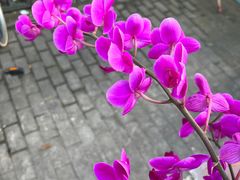 -川中故事·成都老火锅(东书房店)