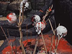 -七彩云南欢乐世界