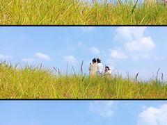 -光明小镇欢乐田园