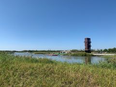 -春花秋色城市公园