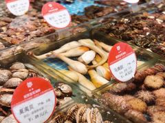 -连鹭海鲜·海肠捞饭·海胆饭(星海店)