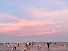 -南汇嘴观海公园