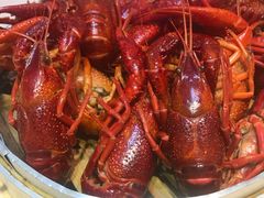 -怪怪龙虾·澳洲蓝龙王·深夜食堂(惊驾路店)