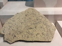 -辽宁古生物博物馆