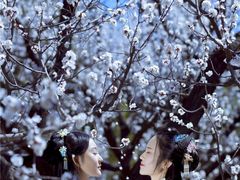 -龙口南山旅游景区