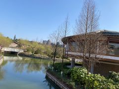 -江西龙虎山景区