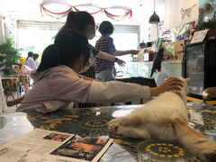 -平行世界·猫咖(首经贸店)