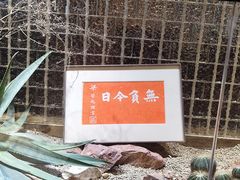 -老李家土菜馆·安吉地标美食