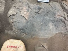 -中国第四纪冰川遗迹陈列馆