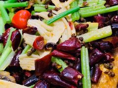 老板恋上鱼-老板恋上鱼(恒隆广场店)