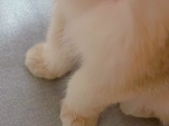 -美迦爱-牙专科·兔科·骨科诊疗中心(北苑店)