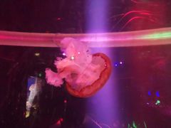 -邯郸海洋世界