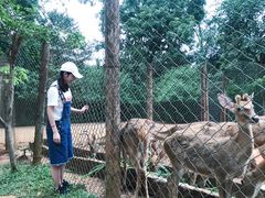 -海南热带野生动植物园