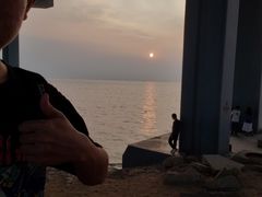 -宝安西湾红树林湿地公园