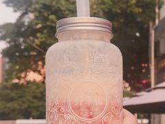 -野萃山·潮汕厚果汁(十亩地店)