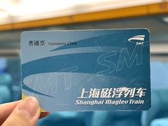 -龙阳路磁悬浮列车总站-停车场