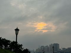 -小麦岛公园