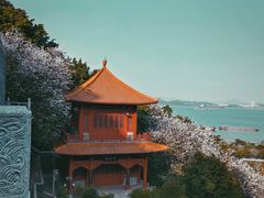 -南沙天后宫景区