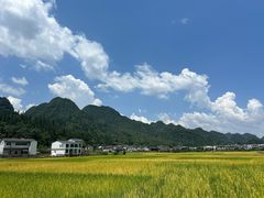 -万峰林风景区