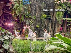 -正佳雨林生态植物园