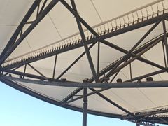 -移动谜城·大笨象密室逃脱(五棵松店)