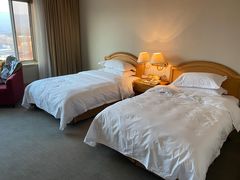 -南京维景国际大酒店(南京博物院店)