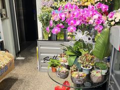 -FEI FEI FLOWER鲜花店·气球派对·宝宝宴布置(虹口德必运动Loft店)