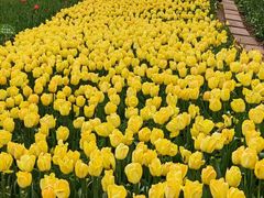 -IGenie爱精灵·万兆电竞酒店(成都火车南站凯德天府店)